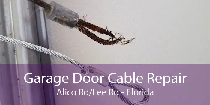 Garage Door Cable Repair Alico Rd/Lee Rd - Florida