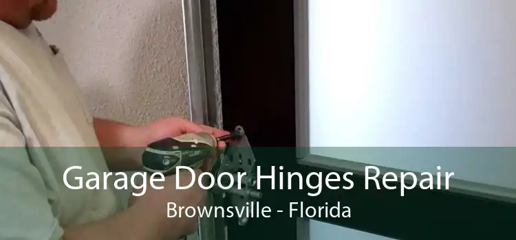 Garage Door Hinges Repair Brownsville - Florida