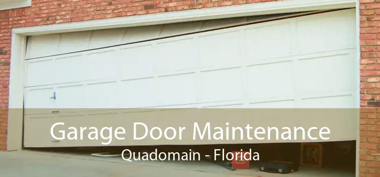 Garage Door Maintenance Quadomain - Florida