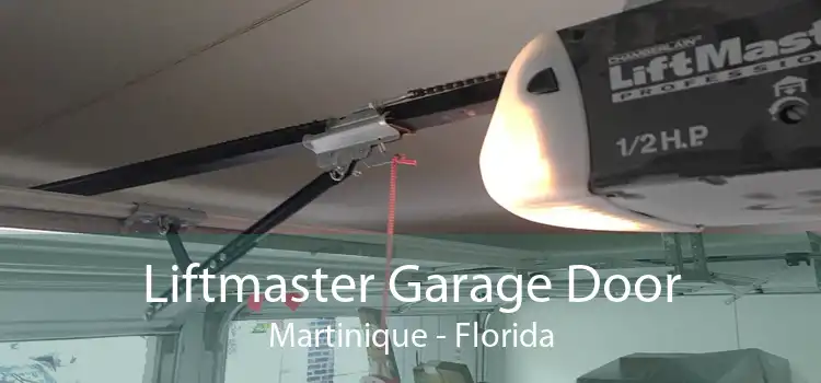 Liftmaster Garage Door Martinique - Florida