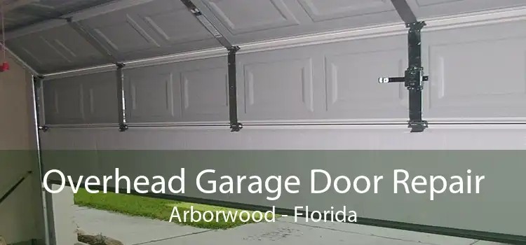 Overhead Garage Door Repair Arborwood - Florida